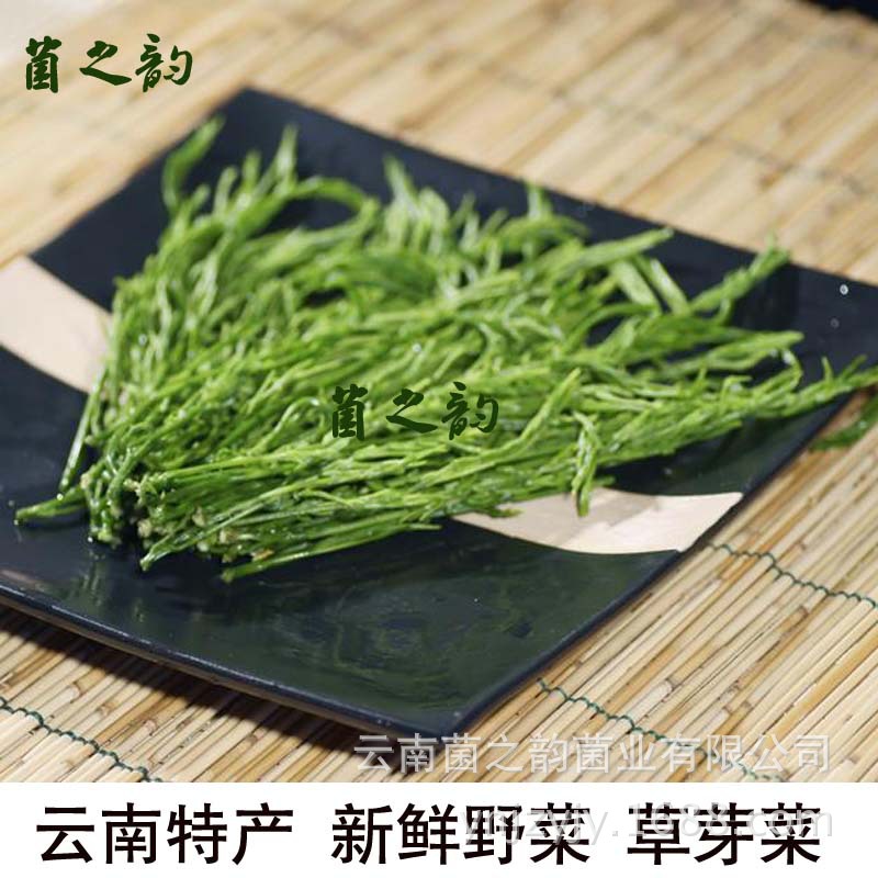本公司开始预售2015各类新鲜野生菌包括: 松茸菌、鸡枞菌、牛肝菌、黑虎掌菌 干巴菌等与云南各类野菜等等 承接:餐厅/酒店派送!大宗团购! 常年厂家原产地批发 大批量走货 详情请您咨询在线客服或者 15912523815 13888622104 云南菌之韵菌业有限公司的产品均在滇西北一带收购而来,通过一流的加工厂与其顶级的设备才在市场上销售,本公司保证产品质量和各种保障,敬请放心购买! ----------------基本简介---------------- 臭菜中国菜的一大特色。臭是一种味,是原料上繁殖