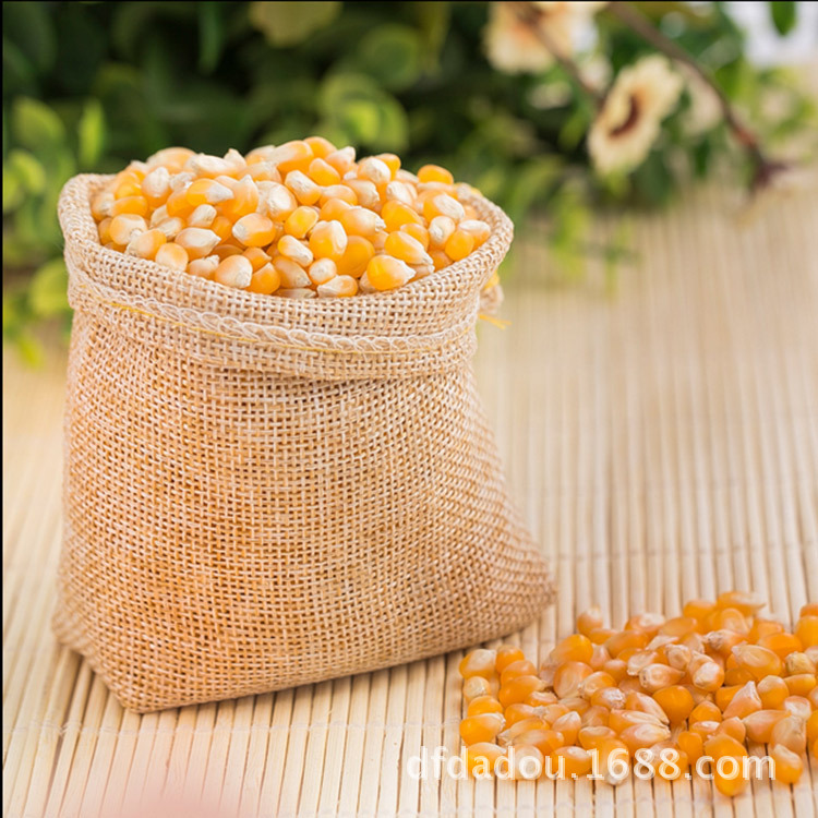 鸽子推荐专用优质的饲料供应专业玉米为什么叫老e鸽子王图片
