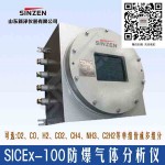 防爆型在线气体分析仪