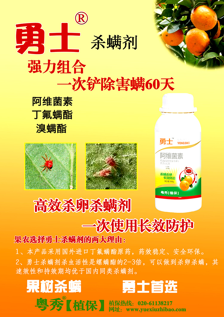 专杀柑桔红蜘蛛特效药 沙糖桔红蜘蛛杀螨剂柑橘红蜘蛛