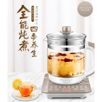 LIFE ELEMENT/生活元素D23养生壶全能炖煮烧开水
